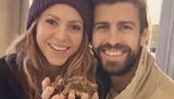 Professores comentam divórcio da cantora Shakira e o jogador Piqué (Reprodução)